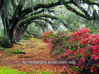 As mensagens evidenciam vida. 