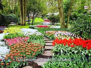 São pessoas que gostam de gente. 