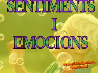 SENTIMENTS I  EMOCIONS Bryan F,Adri,David C. Ceip brasil 