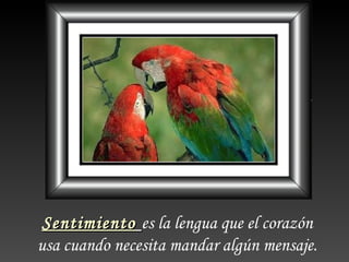 Sentimiento es la lengua que el corazón
usa cuando necesita mandar algún mensaje.
 