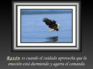 Razón es cuando el cuidado aprovecha que la
emoción está durmiendo y agarra el comando.
 