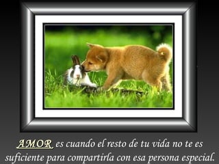 AMOR es cuando el resto de tu vida no te es
suficiente para compartirla con esa persona especial.
 