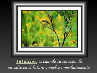 Intuición es cuando tu corazón da
un salto en el futuro y vuelve inmediatamente.
 