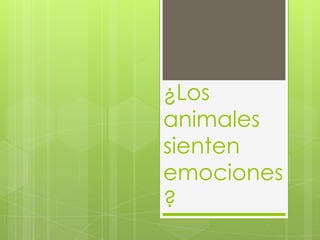 ¿Los
animales
sienten
emociones
?
 