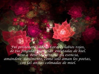 Fuí prisionera de tus voraces labios rojos,
  de tus fingidas promesas enlutadas de hiel.
      Beso a beso te entregué mi esencia,
amándote sutilmente, como solo aman los poetas,
        con las ansias colmadas de miel.
 