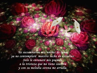 Ya sucumbieron mis noches de luna, ya no contemplaré nuestro techo de estrellas. Solo le entonaré mis poemas, a la tristeza que me tiene cautiva y con su melodia serena me arrulla.