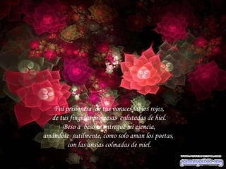 Fuí prisionera  de tus voraces labios rojos, de tus fingidas promesas  enlutadas de hiel. Beso a  beso te entregué mi esencia, amándote  sutilmente, como solo aman los poetas,  con las ansias colmadas de miel. 