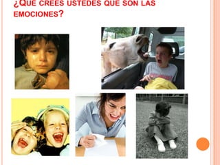 ¿Qué crees ustedes que son las emociones?