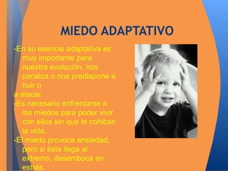 MIEDO ADAPTATIVO 
-En su esencia adaptativa es 
muy importante para 
nuestra evolución, nos 
paraliza o nos predispone a 
huir o 
a atacar. 
-Es necesario enfrentarse a 
los miedos para poder vivir 
con ellos sin que te cohiban 
la vida. 
-El miedo provoca ansiedad, 
pero si ésta llega al 
extremo, desemboca en 
estrés. 
 