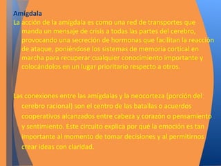 Amígdala 
La acción de la amígdala es como una red de transportes que 
manda un mensaje de crisis a todas las partes del cerebro, 
provocando una secreción de hormonas que facilitan la reacción 
de ataque, poniéndose los sistemas de memoria cortical en 
marcha para recuperar cualquier conocimiento importante y 
colocándolos en un lugar prioritario respecto a otros. 
Las conexiones entre las amígdalas y la neocorteza (porción del 
cerebro racional) son el centro de las batallas o acuerdos 
cooperativos alcanzados entre cabeza y corazón o pensamiento 
y sentimiento. Este circuito explica por qué la emoción es tan 
importante al momento de tomar decisiones y al permitirnos 
crear ideas con claridad. 
 