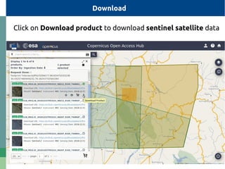 How to download Sentinel 2 satellite data | PDF