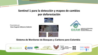 Sistema de Monitoreo de Bosques y Carbono para Colombia
Sentinel 1 para la detección y mapeo de cambios
por deforestación
Presentado por:
Cesar Augusto Valbuena Calderón
 