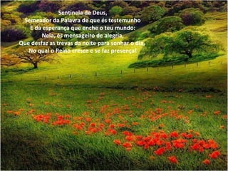 Sentinela de Deus,
 Semeador da Palavra de que és testemunho
   E da esperança que enche o teu mundo:
        Nela, és mensageiro de alegria,
Que desfaz as trevas da noite para sonhar o dia,
   No qual o Reino cresce e se faz presença!
 