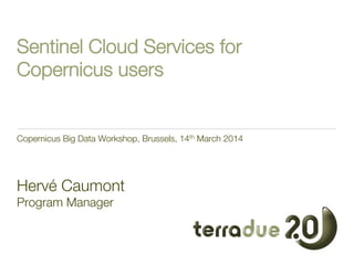 Sentinel Cloud Services for
Copernicus users
Copernicus Big Data Workshop, Brussels, 14th March 2014



Hervé Caumont"
Program Manager

 