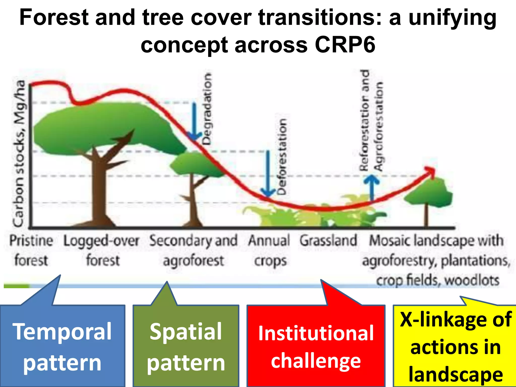 Forest and tree cover transitions: a unifying
           concept across CRP6




                                      X-linkage of
Temporal   Spatial    Institutional
                                       actions in
 pattern   pattern      challenge
                                       landscape
 