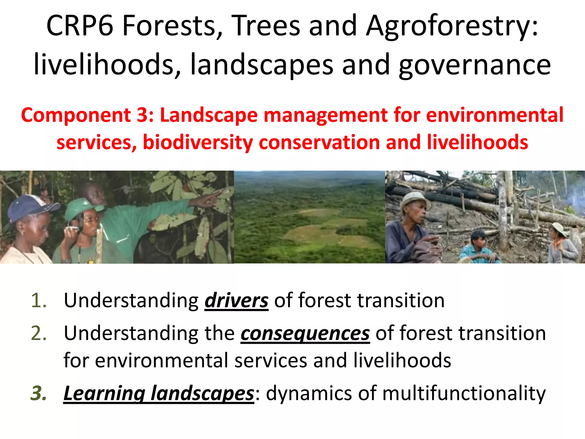 CRP6 Forests, Trees and Agroforestry:
 livelihoods, landscapes and governance
Component 3: Landscape management for environmental
   services, biodiversity conservation and livelihoods




1. Understanding drivers of forest transition
2. Understanding the consequences of forest transition
   for environmental services and livelihoods
3. Learning landscapes: dynamics of multifunctionality
 