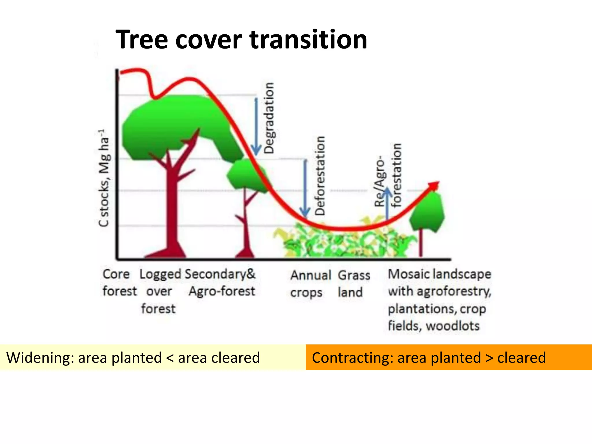 Tree cover transition




Widening: area planted < area cleared   Contracting: area planted > cleared
 