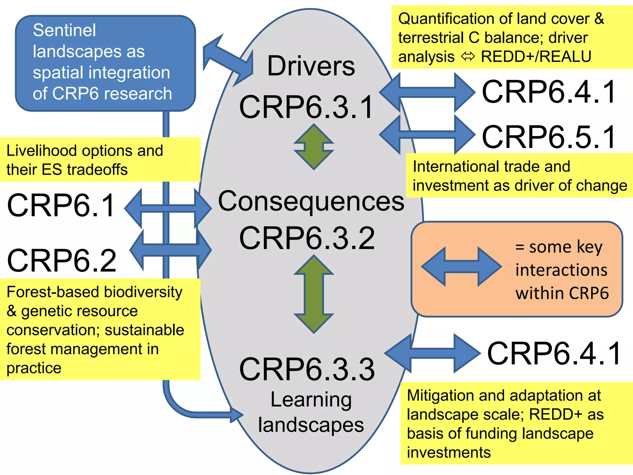 Quantification of land cover &
   Sentinel                                terrestrial C balance; driver
   landscapes as                           analysis  REDD+/REALU
   spatial integration         Drivers
   of CRP6 research
                             CRP6.3.1                  CRP6.4.1
Livelihood options and                                 CRP6.5.1
their ES tradeoffs                           International trade and
                                             investment as driver of change
CRP6.1                      Consequences
                             CRP6.3.2                      = some key
CRP6.2                                                     interactions
Forest-based biodiversity                                  within CRP6
& genetic resource
conservation; sustainable
forest management in
                                                       CRP6.4.1
practice                     CRP6.3.3
                                Learning    Mitigation and adaptation at
                                            landscape scale; REDD+ as
                              landscapes    basis of funding landscape
                                            investments
 