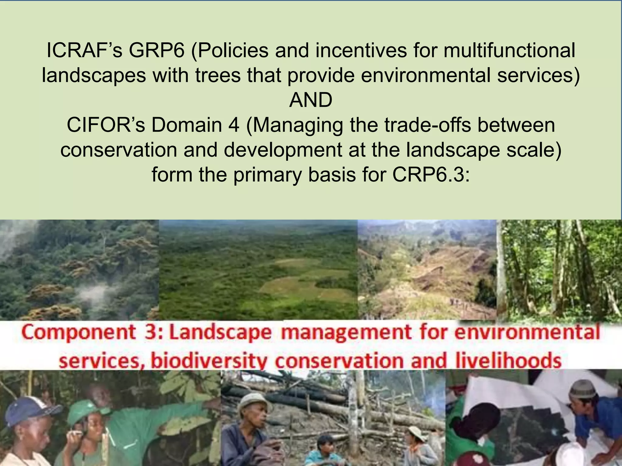 ICRAF’s GRP6 (Policies and incentives for multifunctional
landscapes with trees that provide environmental services)
                           AND
    CIFOR’s Domain 4 (Managing the trade-offs between
   conservation and development at the landscape scale)
            form the primary basis for CRP6.3:
 
