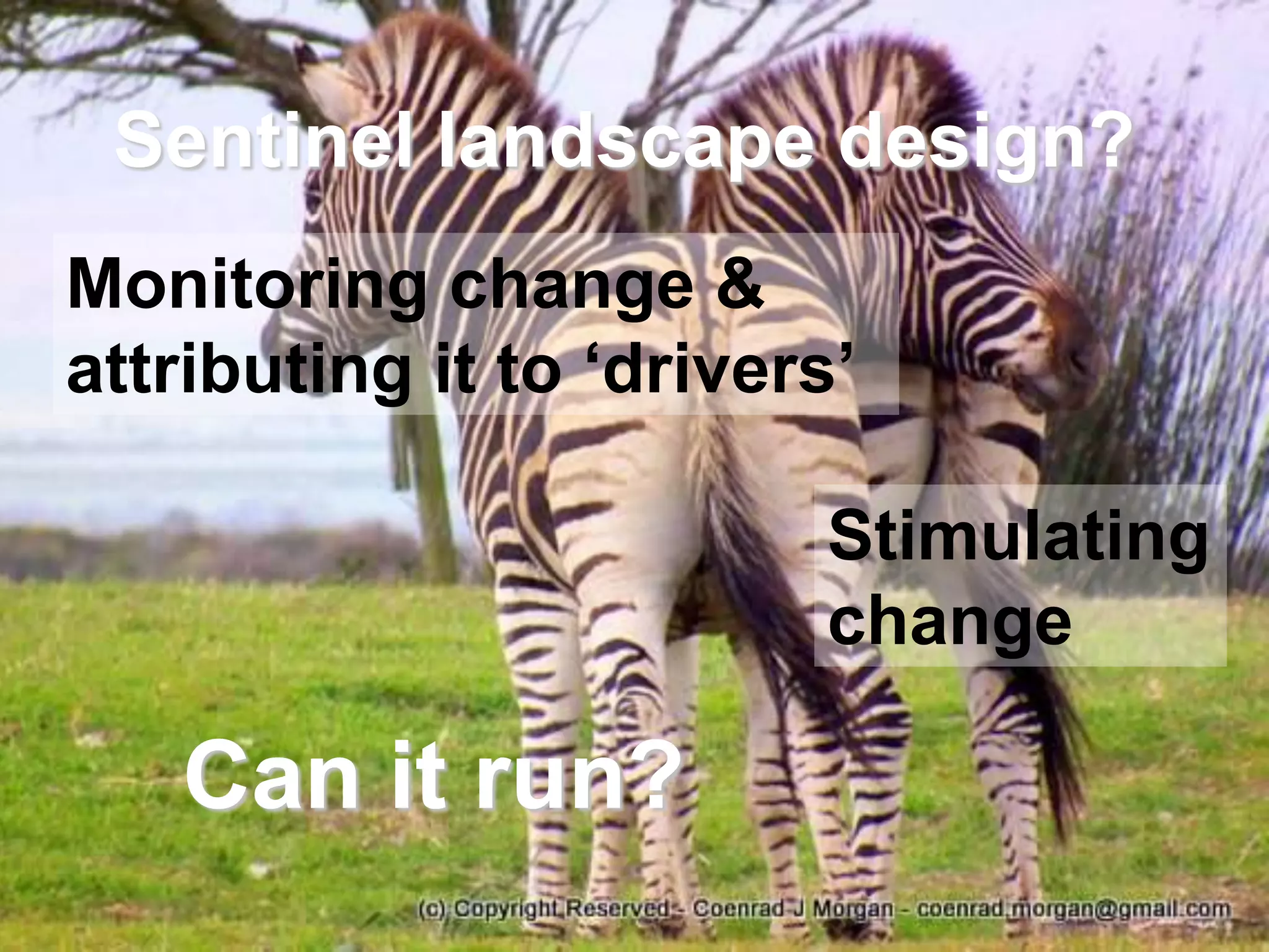 Sentinel landscape design?
Monitoring change &
attributing it to ‘drivers’

                          Stimulating
                          change

   Can it run?
 