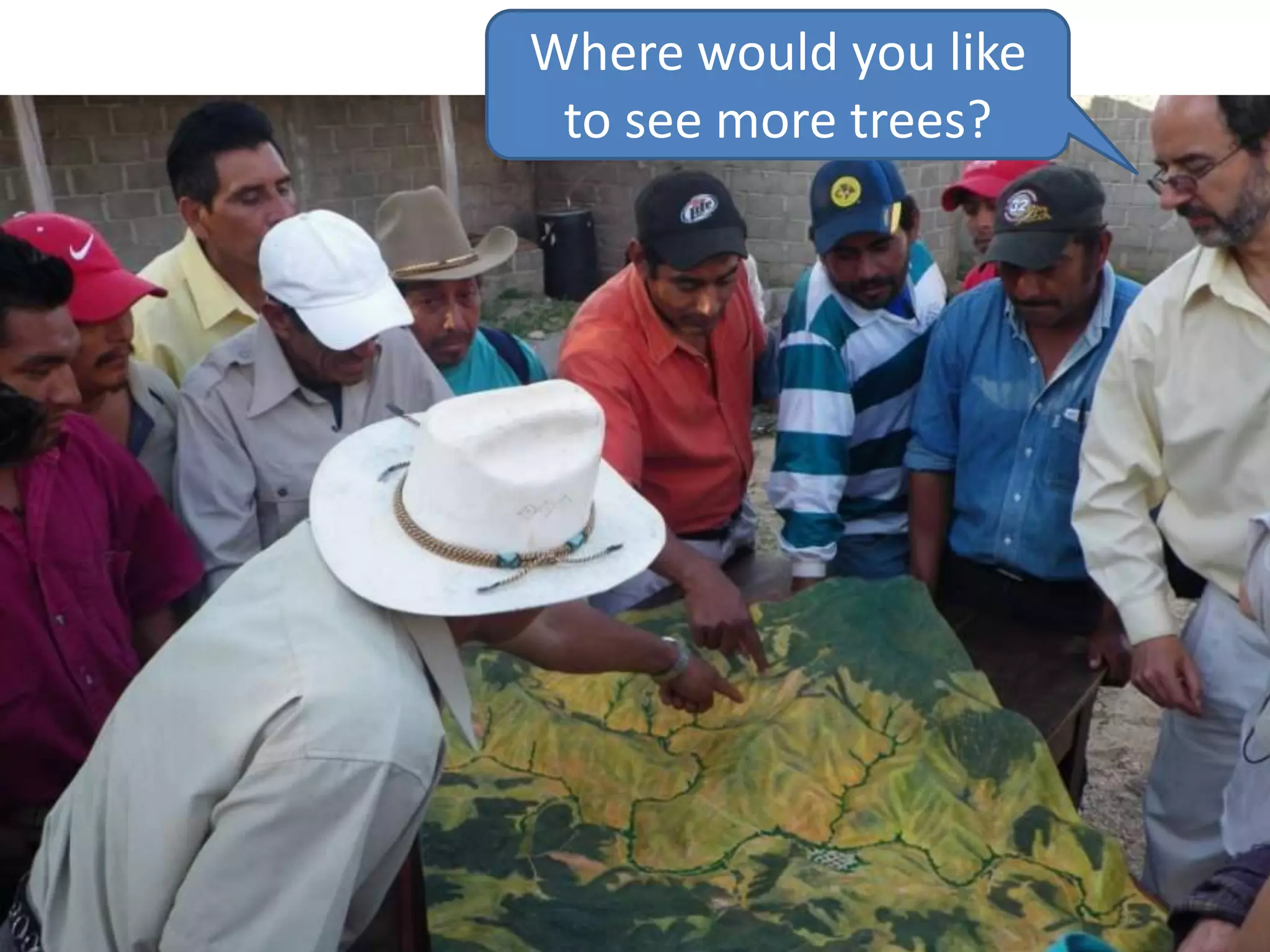 Where would you like
 to see more trees?
 