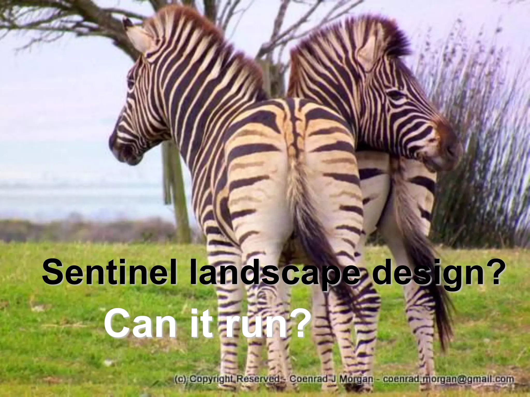 Sentinel landscape design?
   Can it run?
 