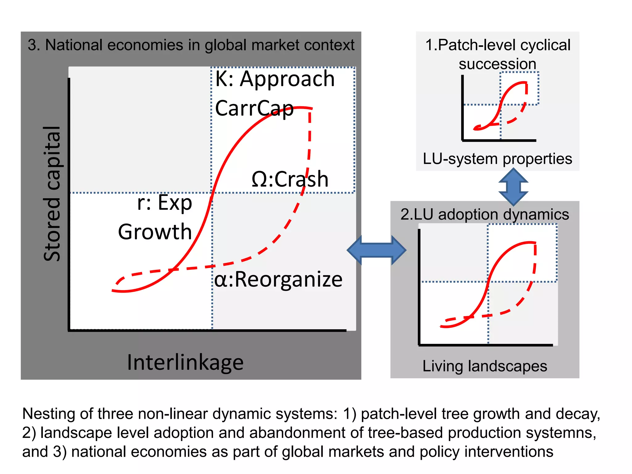 3. National economies in global market context           1.Patch-level cyclical
                                                             succession
                             K: Approach
                             CarrCap
  Stored capital



                                                        LU-system properties
                                  Ω:Crash
                    r: Exp                           2.LU adoption dynamics
                   Growth
                             α:Reorganize


                   Interlinkage                         Living landscapes


Nesting of three non-linear dynamic systems: 1) patch-level tree growth and decay,
2) landscape level adoption and abandonment of tree-based production systemns,
and 3) national economies as part of global markets and policy interventions
 