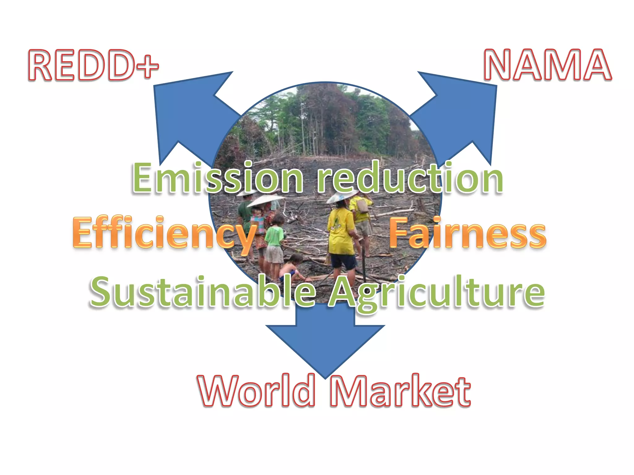 Sentinel Landscapes and Component 3: links in the CRP6