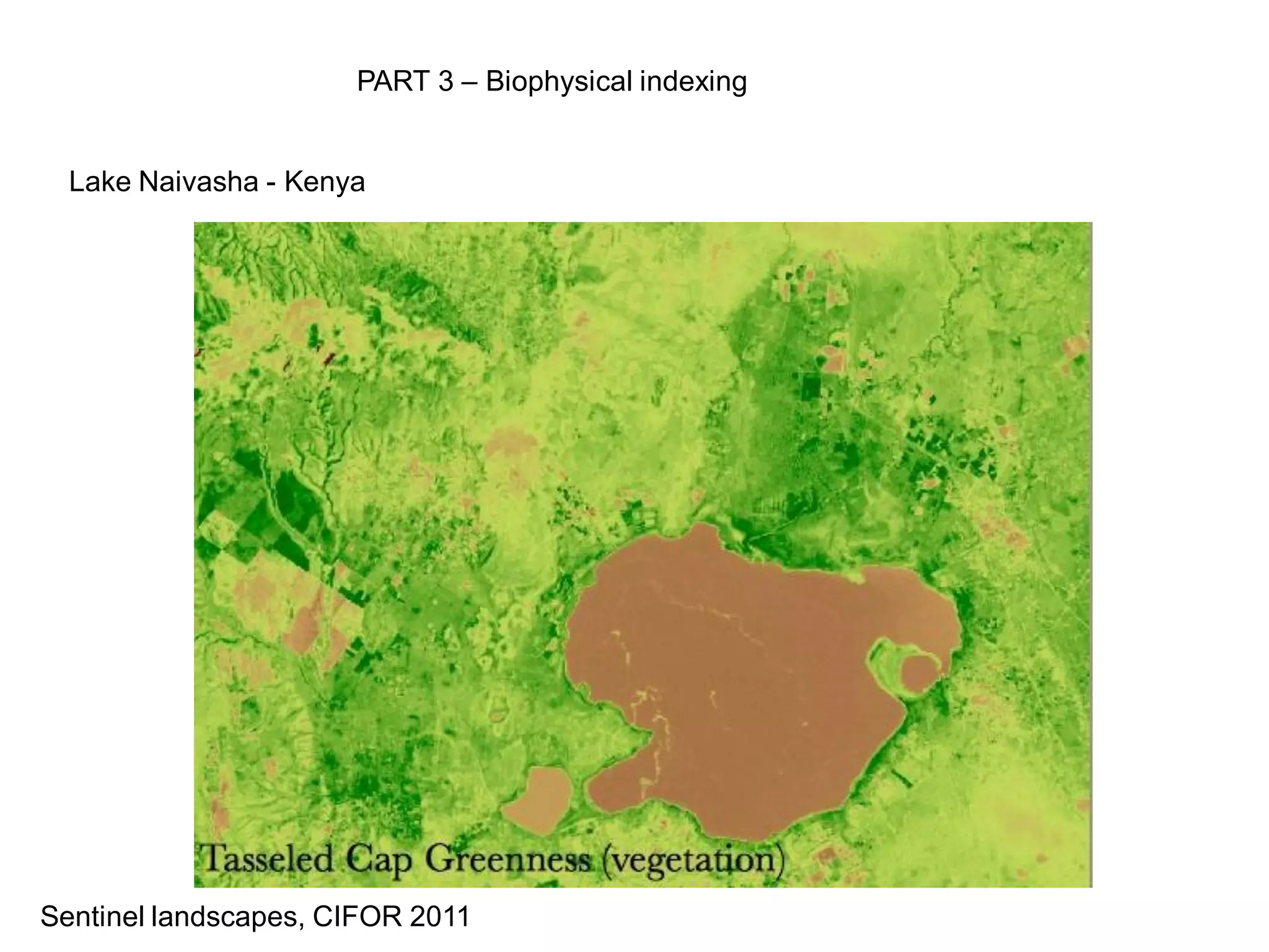 PART 3 – Biophysical indexing


  Lake Naivasha - Kenya




Sentinel landscapes, CIFOR 2011
 