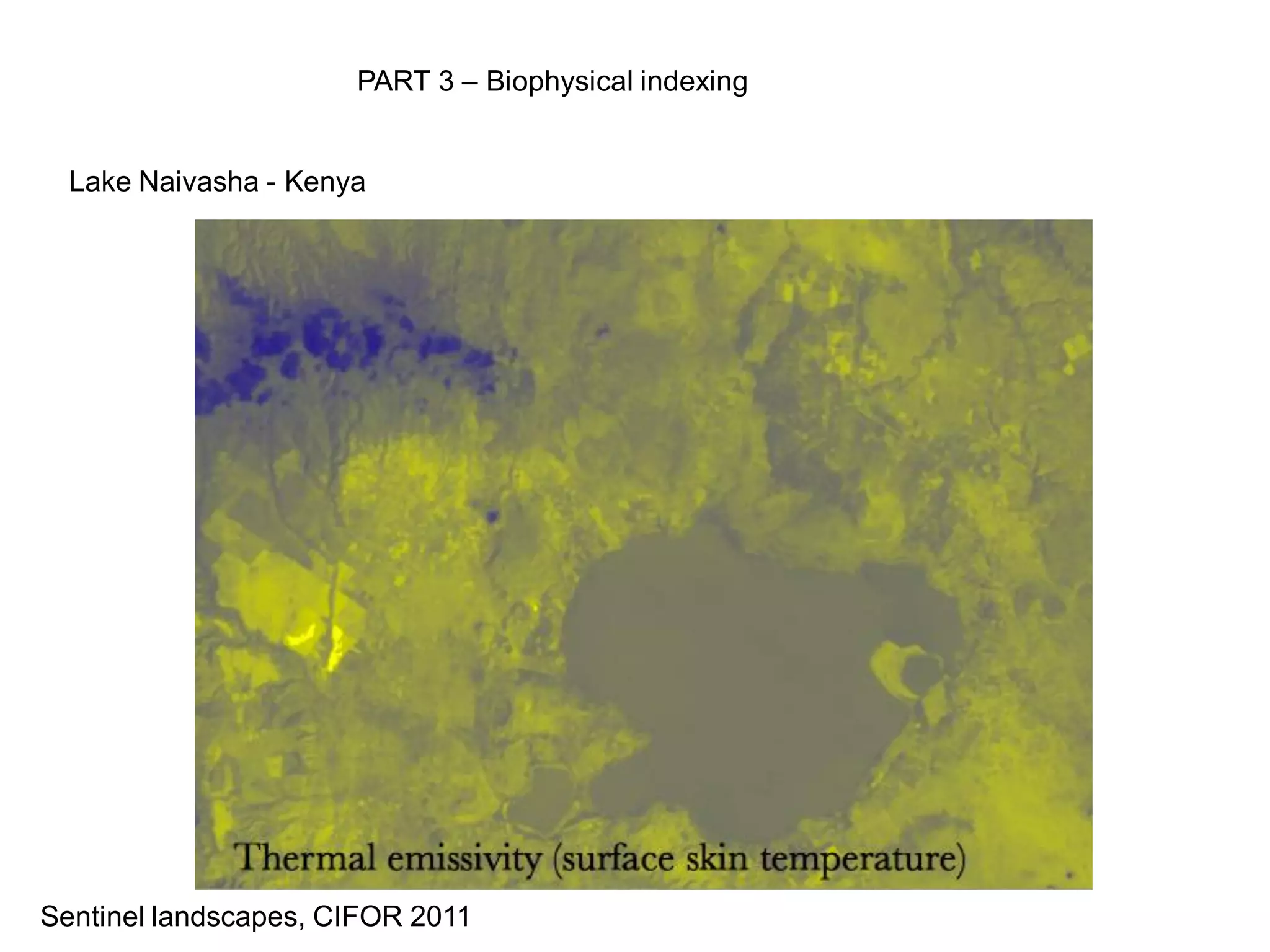 PART 3 – Biophysical indexing


  Lake Naivasha - Kenya




Sentinel landscapes, CIFOR 2011
 