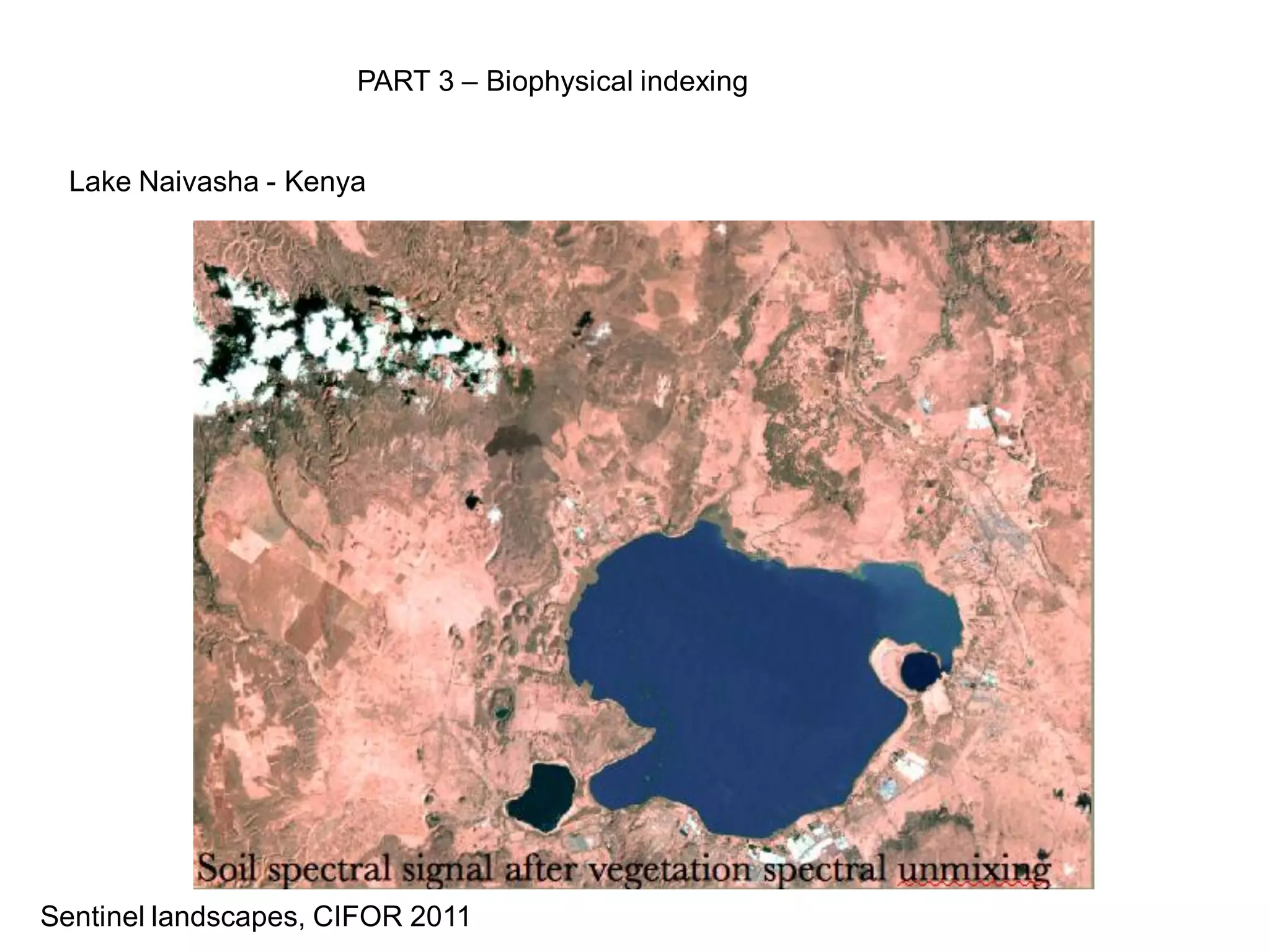 PART 3 – Biophysical indexing


  Lake Naivasha - Kenya




Sentinel landscapes, CIFOR 2011
 