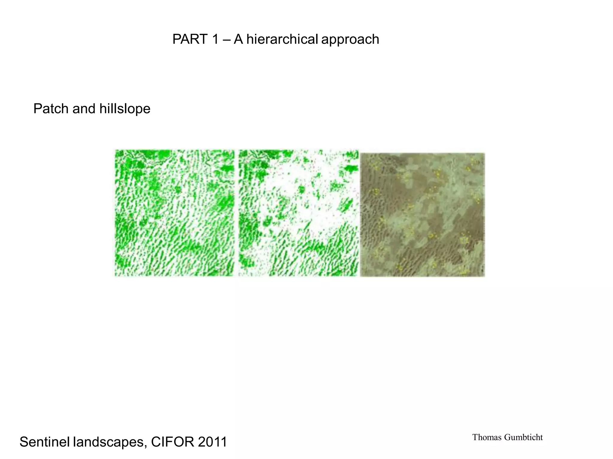 PART 1 – A hierarchical approach




  Patch and hillslope




                                                           Thomas Gumbticht
Sentinel landscapes, CIFOR 2011
 
