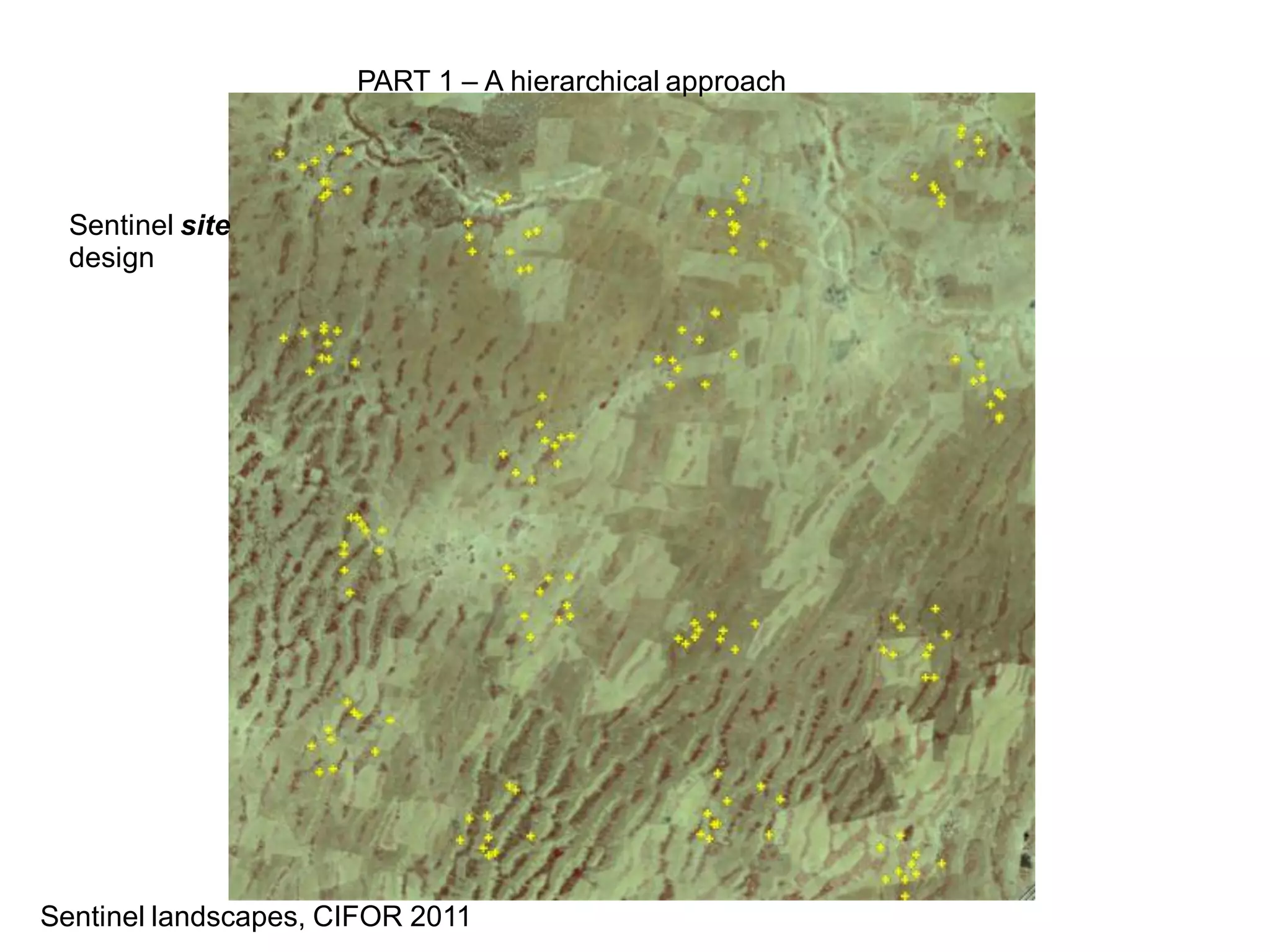PART 1 – A hierarchical approach




  Sentinel site
  design




Sentinel landscapes, CIFOR 2011
 
