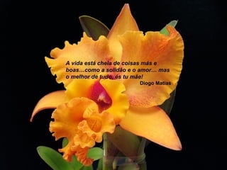 A vida está cheia de coisas más e
boas…como a solidão e o amor… mas
o melhor de tudo, és tu mãe!
Diogo Matias
 