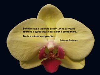 Solidão coisa triste de sentir…mas às vezes
aparece e ajuda-nos a dar valor à companhia…
Tu és a minha companhia…
Fabiana Barbosa
 
