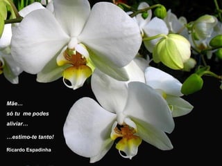 Mãe…
só tu me podes
aliviar…
…estimo-te tanto!
Ricardo Espadinha
 