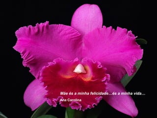 Mãe és a minha felicidade…és a minha vida…
Ana Carolina
 