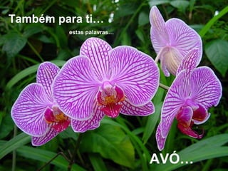 AVÓ…
Também para ti…
estas palavras…
 