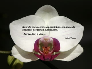 Quando esquecemos os caminhos, em nome da
chegada, perdemos a paisagem…
Aproveitem a vida…
Isabel Viegas
 