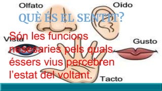 Sentit del gust | PPTX