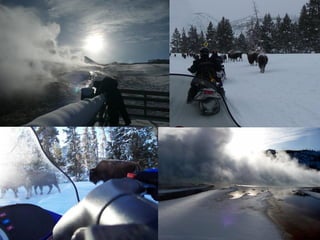 Copyright 2012 © Sentri, Inc. All rights reserved.
 