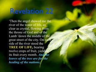 Revelation 22 1 Then the angel showed me the river of the water of life, as clear as crystal, flowing from the throne of God and of the Lamb  2 down the middle of the great street of the city. On each side of the river stood the  TREE OF LIFE ,  bearing twelve crops of fruit, yielding its fruit every month.  And the leaves of the tree are for the healing of the nations. 