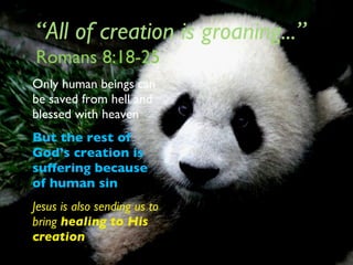 “ All of creation is groaning...”   Romans 8:18-25 Only human beings can be saved from hell and blessed with heaven But the rest of God’s creation is suffering because of human sin Jesus is also sending us to bring  healing to His creation 