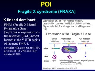 POI
Fragile X syndrome (FRAXA)
X-linked dominant
• FMR1 (Fragile X Mental
Retardation Gene 1
(Xq27.3)) an expansion of a
trinucleotide (CGG) repeat
located at the 5' UTR region
of the gene FMR-1.
• normal (6-40), gray-zone (41-60),
premutated (61-200), and fully
mutated (>200).
 