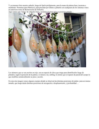 Y ya tenemos listo nuestro señuelo, luego de lijarlo prolijamente, para la mano de pintura base, (acetona o
mordiente Promotor para Plásticos), para proceder por último a pintarlo con cualquiera de los sistemas vistos
en anteriores notas de Restauración de Señuelos.
Aquí vemos una “ristra” de señuelos listos, secándose la base para su posterior pintado…




Los números que se ven escritos en rojo, son un especie de clave que tengo para identificarlos luego de
pintados, según la posición de la paleta y si tienen o no, rattling, lo mismo que el espesor de pared del cuerpo lo
que modifica sustancialmente su peso y acción.

En esta otra imagen vemos algunos cuerpos donde se observan las distintas posiciones de paleta para un mismo
tamaño, que luego darán distintas posiciones de navegación o desplazamiento, y profundidad….
 