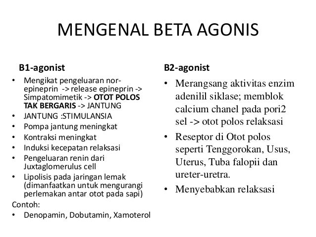 Senyawa beta agonis pada produk asal ternak dan pengaruhnya