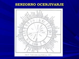 SENSENZZORNO OCENJIVANJEORNO OCENJIVANJE
 