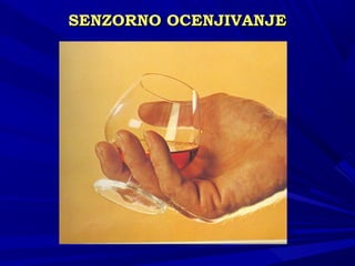 SENSENZZORNO OCENJIVANJEORNO OCENJIVANJE
 