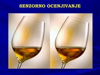 SENSENZZORNO OCENJIVANJEORNO OCENJIVANJE
 