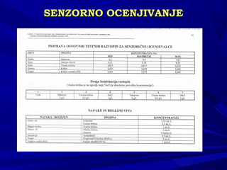 SENSENZZORNO OCENJIVANJEORNO OCENJIVANJE
 